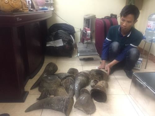 Arrestan en Vietnam a mayores traficantes de animales silvestres ảnh 1