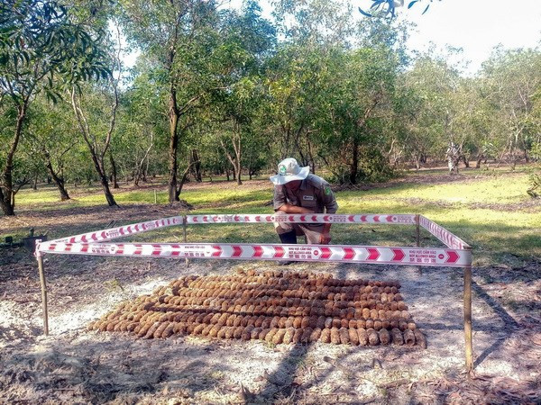 Provincia vietnamita de Quang Tri destruye 299 artefactos explosivos ảnh 1 Provincia vietnamita de Quang Tri destruye 299 artefactos explosivos ảnh 1