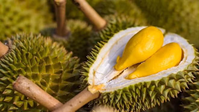 Vietnam prevé ingresar fondo multimillonario por exportaciones de frutas y hortalizas en 2023 ảnh 2