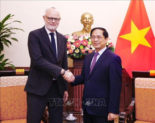 Vietnam otorga importancia de fomentar cooperación con Francia, afirma canciller ảnh 1 Vietnam otorga importancia de fomentar cooperación con Francia, afirma canciller ảnh 1