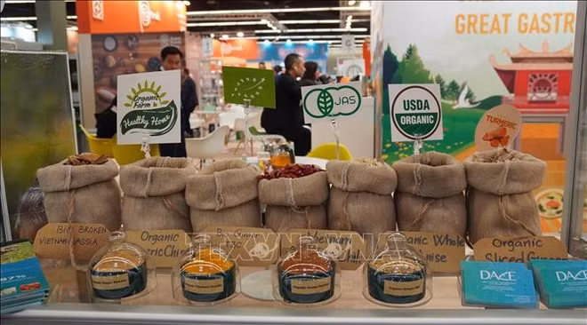 Diez empresas de Vietnam participan en feria de Biofach en Alemania ảnh 1