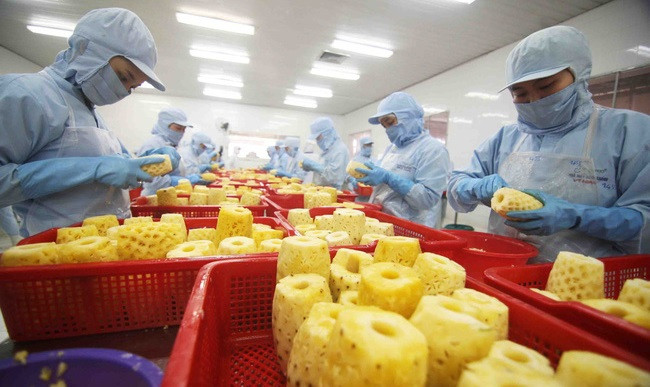 Exportación de frutas y verduras de Vietnam experimenta señales positivas ảnh 1