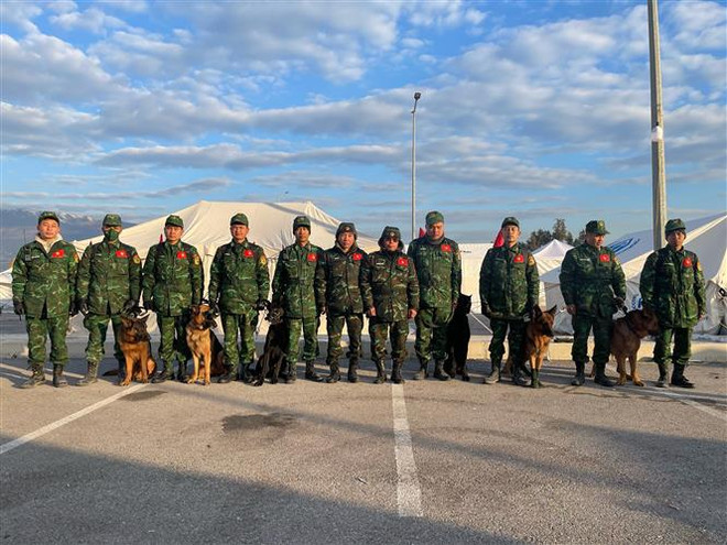 Perros rastreadores de Vietnam logran resultados positivos en rescate en Turquía ảnh 1 Perros rastreadores de Vietnam logran resultados positivos en rescate en Turquía ảnh 1