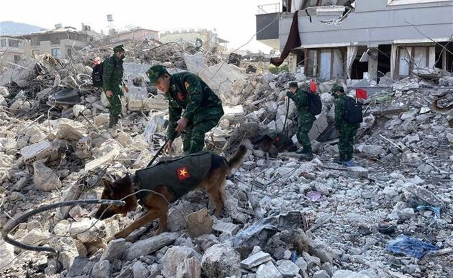 Socorristas vietnamitas agilizan búsqueda de víctimas del terremoto en Turquía ảnh 1 Socorristas vietnamitas agilizan búsqueda de víctimas del terremoto en Turquía ảnh 1