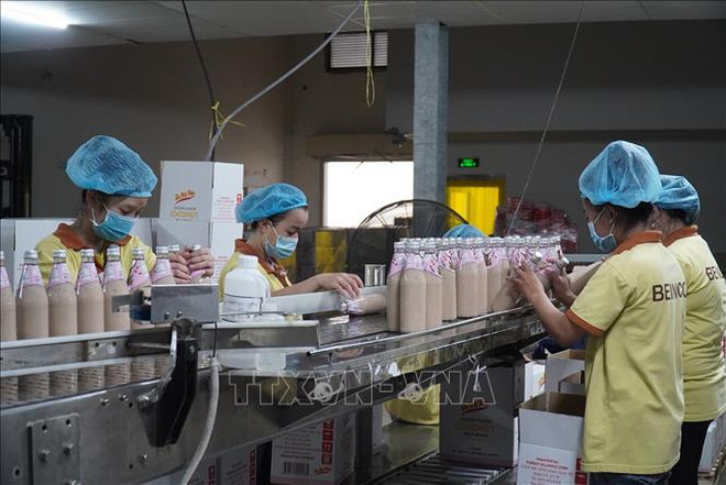 Premier vietnamita insta a Ben Tre a impulsar su economía marítima ảnh 2 Premier vietnamita insta a Ben Tre a impulsar su economía marítima ảnh 2