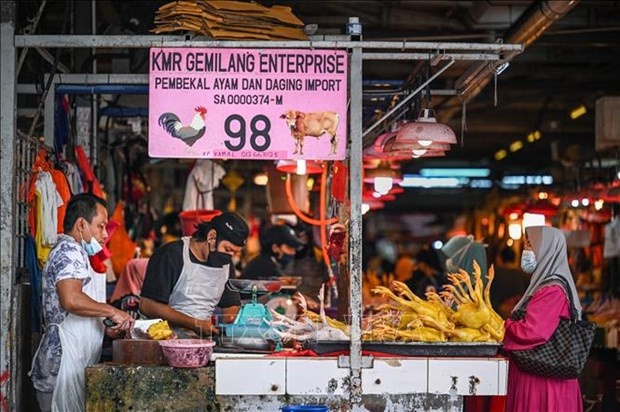 Vaticinan crecimiento más lento para Malasia en 2023 ảnh 1