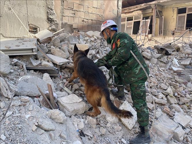 Fuerzas vietnamitas siguen esfuerzos en rescate de víctimas del terremoto en Turquía ảnh 1 Fuerzas vietnamitas siguen esfuerzos en rescate de víctimas del terremoto en Turquía ảnh 1