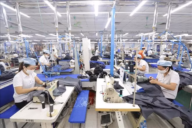 Industria textil de Vietnam elabora planes para superar dificultades este año ảnh 1