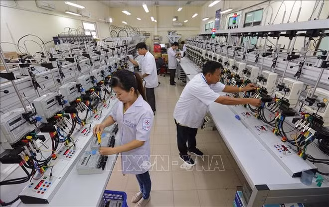 Ciudad Ho Chi Minh promueve desarrollo de ciencia, tecnología e innovación ảnh 1
