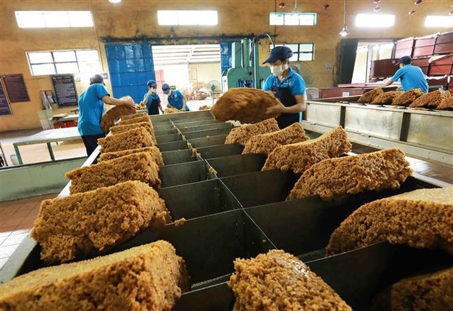 Vietnam y China promueven intercambio de mercancías agrícolas ảnh 2