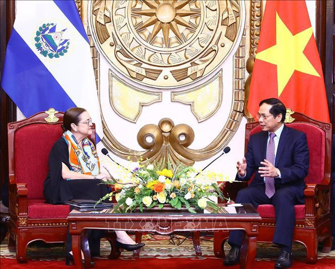 Vietnam y El Salvador buscan medidas para promover relaciones bilaterales ảnh 1