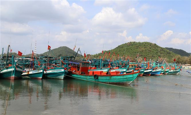 Vietnam emite Plan de acción para combatir pesca ilegal ảnh 1