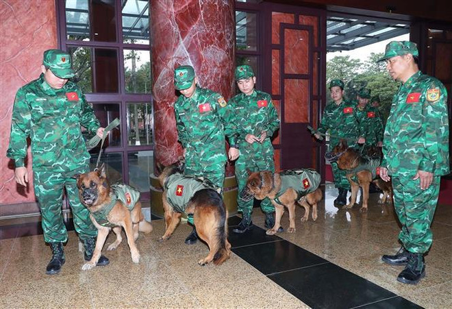 Vietnam envía oficiales para apoyar recuperación de Turquía tras terremotos ảnh 1 Vietnam envía oficiales para apoyar recuperación de Turquía tras terremotos ảnh 1