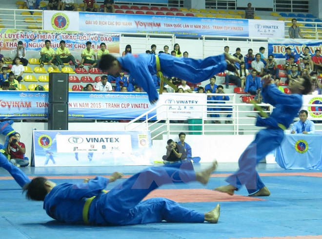 Myanmar comienza la enseñanza de Vovinam ảnh 1