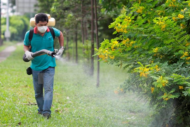 Detectada una vietnamita infectada de Zika en Japón ảnh 1 Detectada una vietnamita infectada de Zika en Japón ảnh 1