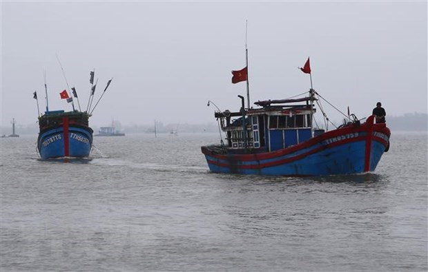 Vietnam rechaza ataque a sus pescadores por policía marítima china ảnh 1 Vietnam rechaza ataque a sus pescadores por policía marítima china ảnh 1