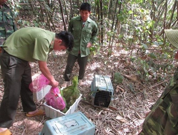 Liberan en Vietnam animales salvajes al Parque Nacional Bu Gia Map ảnh 1