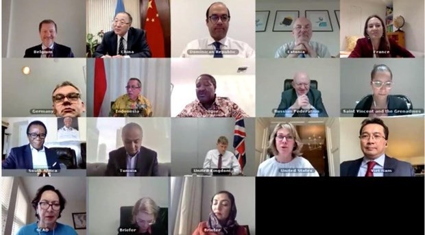 Afirma Vietnam su apoyo al proceso de paz liderado por el pueblo afgano ảnh 1