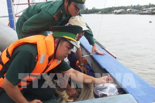 Provincia vietnamita prohíbe faena de barcos pesqueros sin equipo de monitoreo ảnh 1 Provincia vietnamita prohíbe faena de barcos pesqueros sin equipo de monitoreo ảnh 1