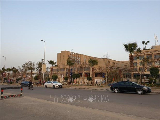 Vietnamitas en Egipto permanecen unidos frente a la pandemia ảnh 1 Vietnamitas en Egipto permanecen unidos frente a la pandemia ảnh 1