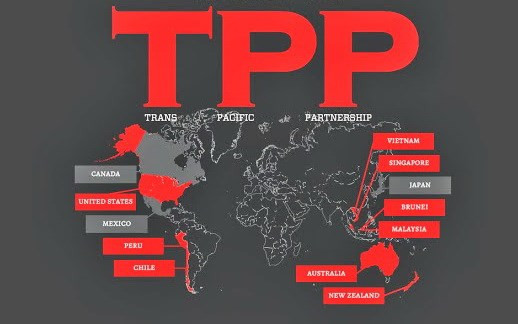  Ventajas y retos del TPP para agricultura bajo lupa de expertos ảnh 1