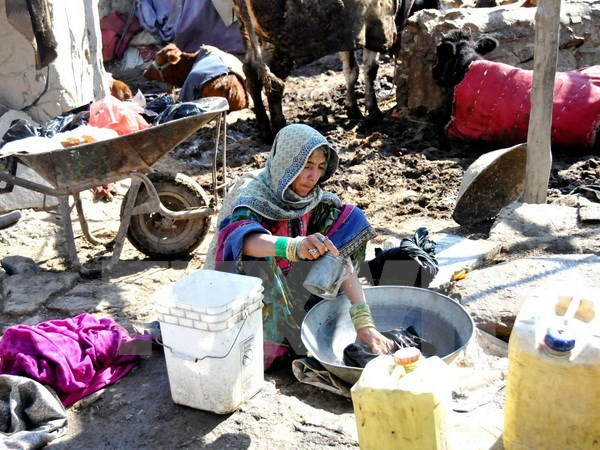Vietnam envía condolencias a Pakistán y Afganistán por terremoto ảnh 1 Vietnam envía condolencias a Pakistán y Afganistán por terremoto ảnh 1