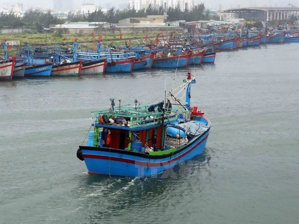 Pescador lesionado de Vietnam está listo para volver a casa con la ayuda de China ảnh 1 Pescador lesionado de Vietnam está listo para volver a casa con la ayuda de China ảnh 1