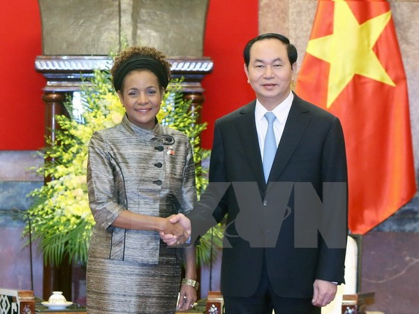Vietnam sugiere impulsar cooperación con países francófonos ảnh 1