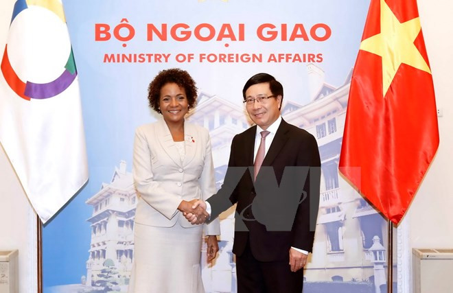 Comunidad francófona es socio importante de Vietnam, dice vicepremier ảnh 1 Comunidad francófona es socio importante de Vietnam, dice vicepremier ảnh 1