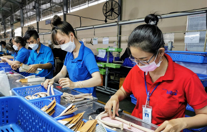 Mejorar entorno empresarial favorece recuperación económica en Vietnam ảnh 1 Mejorar entorno empresarial favorece recuperación económica en Vietnam ảnh 1