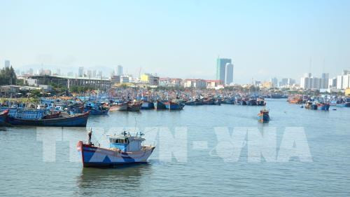 Thanh Hoa trabaja por combatir contra pesca ilegal ảnh 1 Thanh Hoa trabaja por combatir contra pesca ilegal ảnh 1