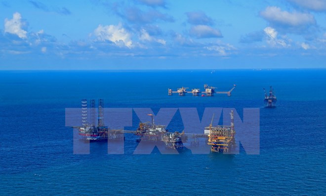 Grupo petrolero de Vietnam aumenta su reserva en 2018 ảnh 1 Grupo petrolero de Vietnam aumenta su reserva en 2018 ảnh 1