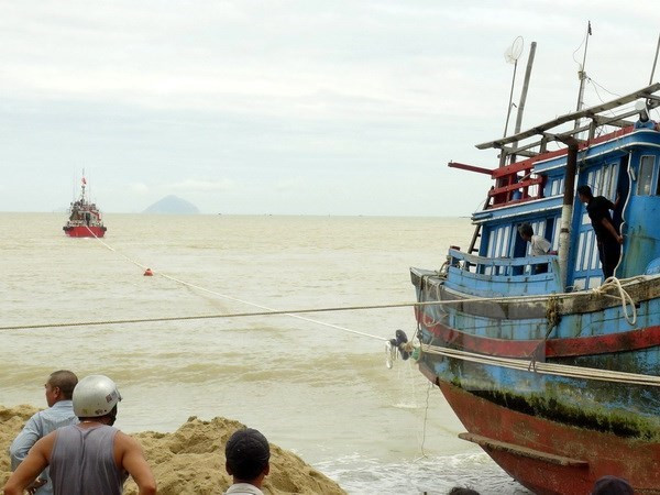 Fuerzas de guardia fronteriza de provincia vietnamita fomenta respaldo a pescadores ảnh 1 Fuerzas de guardia fronteriza de provincia vietnamita fomenta respaldo a pescadores ảnh 1