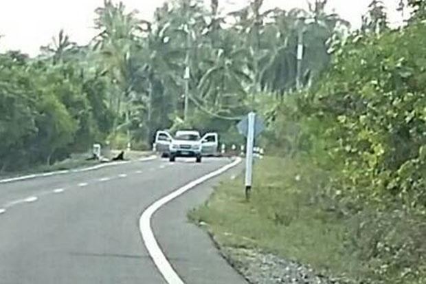 Atentado con bombas en provincia de Tailandia deja seis heridos ảnh 1 Atentado con bombas en provincia de Tailandia deja seis heridos ảnh 1