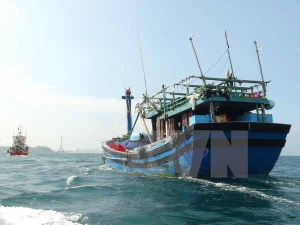 Rescatan a 10 marineros accidentados en el mar vietnamita ảnh 1 Rescatan a 10 marineros accidentados en el mar vietnamita ảnh 1