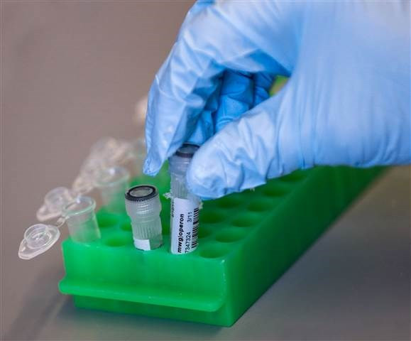 Entra en funcionamiento Centro de Estudios Médicos Vietnam- Alemania ảnh 1 Entra en funcionamiento Centro de Estudios Médicos Vietnam- Alemania ảnh 1