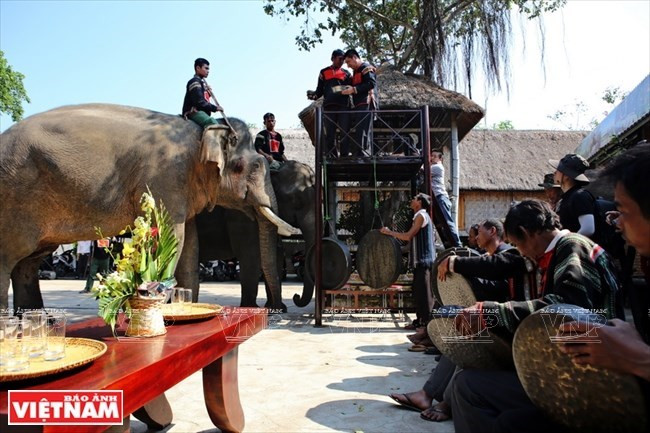 Provincia vietnamita desarrolla turismo basado en comunidad ảnh 1 Provincia vietnamita desarrolla turismo basado en comunidad ảnh 1