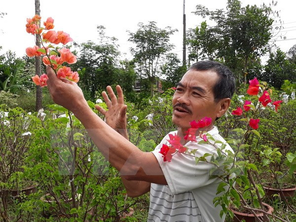 Asociación de Agricultores de Vietnam traza orientaciones para su desarrollo ảnh 1 Asociación de Agricultores de Vietnam traza orientaciones para su desarrollo ảnh 1