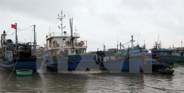 Rescatan a cinco pescadores vietnamitas accidentados en el mar ảnh 1 Rescatan a cinco pescadores vietnamitas accidentados en el mar ảnh 1