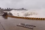 Olas de gran altura en la isla de Ly Son, provincia de Quang Ngai, debido al tifón Kalmaegi. (Foto: VNA)