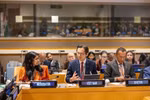 El embajador Do Hung Viet, jefe de la representación permanente de Vietnam ante la ONU, interviene en la cita. (Foto: VNA)