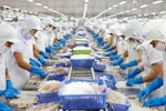 Procesamiento de productos acuícolas para la exportación (Foto: VNA)