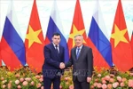 El viceprimer ministro permanente, Nguyen Hoa Binh (derecha), recibe al asesor del Presidente Ruso, Dmitri Mironov. (Foto: VNA)