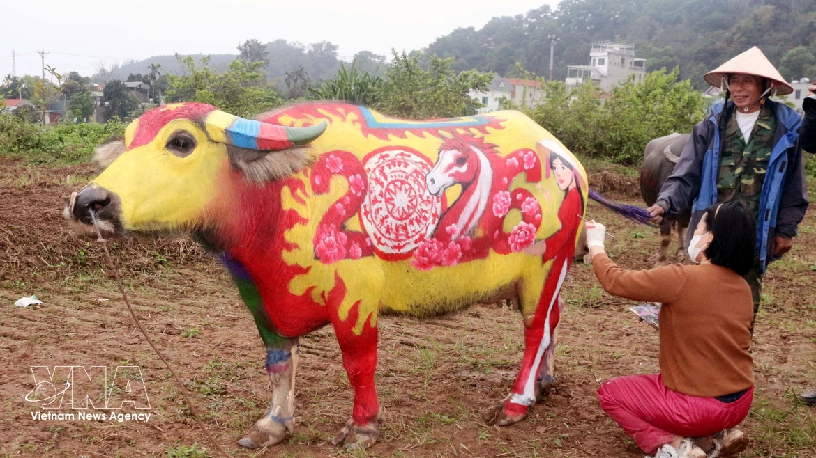 Atractivo concurso de pintura corporal de búfalos en Vietnam