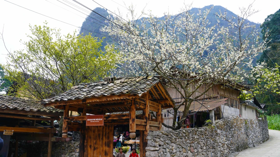 Belleza de Lung Cu avanza hacia el desarrollo del turismo verde en el Norte de Vietnam