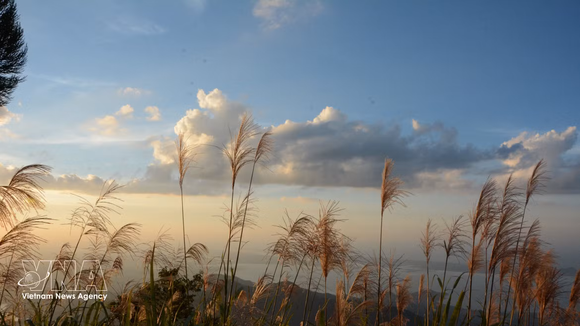 Vong Hai Dai: el mirador con las mejores vistas de las montañas y el mar de Hue