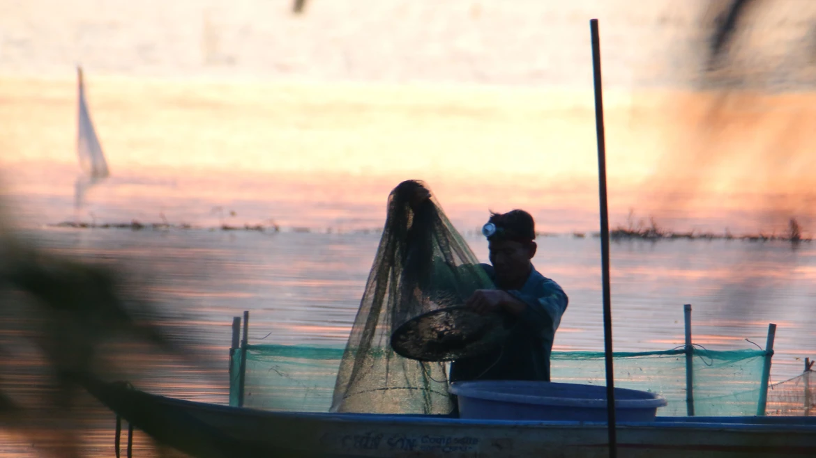 Abundante cosecha de pesca en Can Tho debido a inundaciones