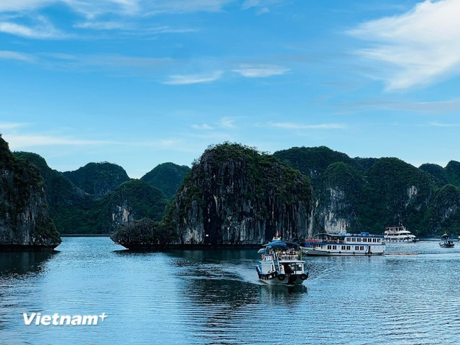 Tras el naufragio del barco Vinh Xanh 58, el turismo marítimo de Quang Ninh debe mejorar los procedimientos de seguridad. (Foto: VNA)