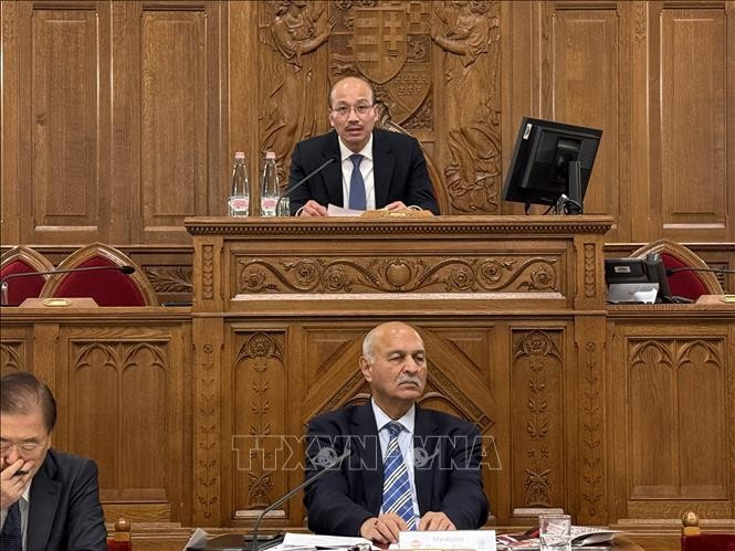 El embajador vietnamita en Hungría, Bui Le Thai, habla en el VI Foro Político Asia-Europa en Hungría. (Foto: VNA)