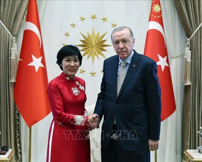 La embajadora de Vietnam en Turquía, Dang Thi Thu Ha, y el presidente turco, Recep Tayyip Erdogan. (Fuente: VNA)